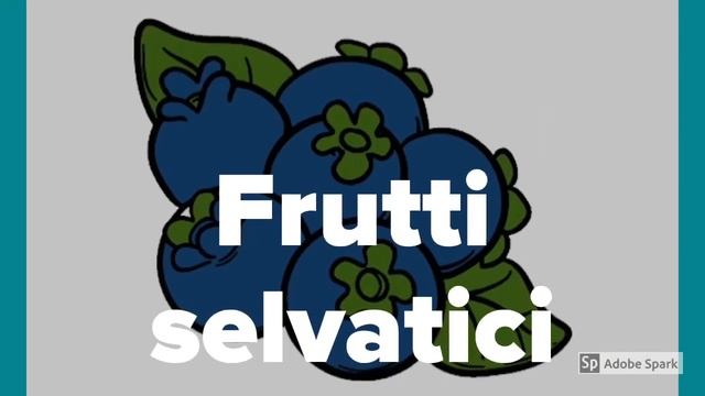 FLORA e FAUNA degli ambienti di terra смотреть онлайн
