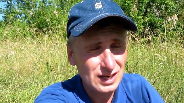Здесь есть ягода 🙂 смотреть онлайн