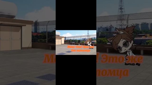 Мини-фильм "Питомец" 💷🦈 смотреть онлайн