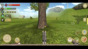 Где найти все КЛУБКИ в Cat Simulator?