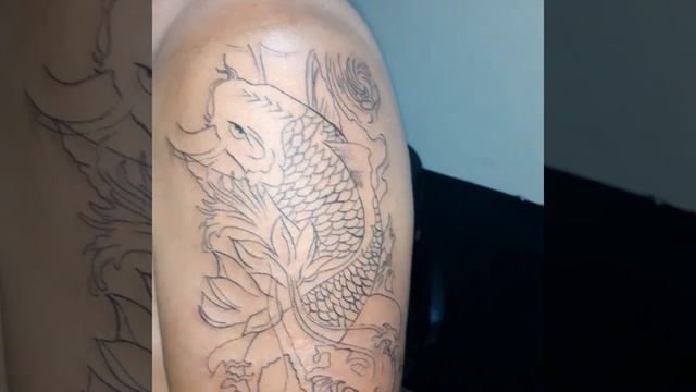 carpa tattoo traço смотреть онлайн