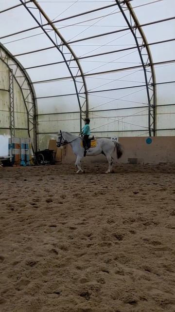 Сегодня. Ольга и Марик. Рабочая рысь. 😊 Часть 1 смотреть онлайн