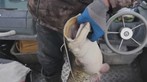 "НАРОДНЫЙ ПРОЕКТ АСТРАХАНЬ"