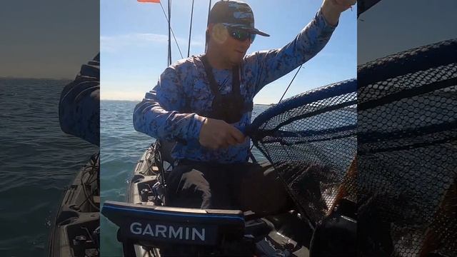LEGAL HALIBUT CATCH #shorts #short #shortvideo #fishing #kayakfishing #saltwaterfishing #halibut смотреть онлайн