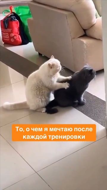 😅 Признавайтесь, было? смотреть онлайн