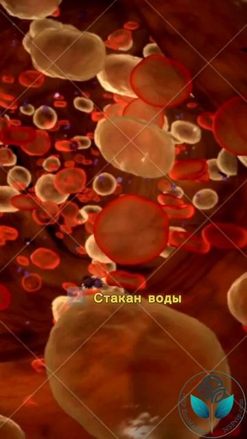 Как Вода Станет Спасением: 3 Волшебных Правила для Детокса, Энергии и Идеального Веса! 🌟