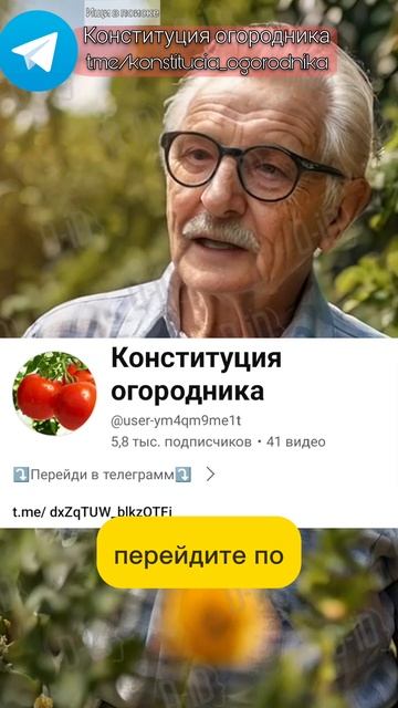 ЛУЧШЕЕ СРЕДСТВО ОТ СОРНЯКОВ #огород #сад #урожай #дача смотреть онлайн