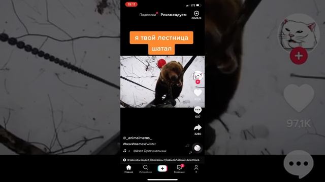 Медведь чуть не стащил с дерева смотреть онлайн
