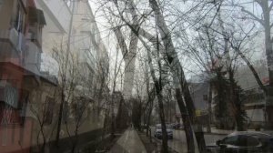 Поход 15 марта 2025 г.