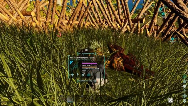 How to tame Pteranodon Ark Survival Ascended смотреть онлайн