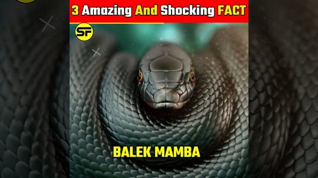 3 Amazing And Shocking Facts ||अनसुने तथ्य 😱#factshorts #shorts #youtubeshorts #ytshort смотреть онлайн