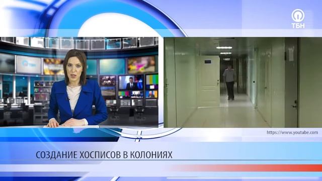 Паллиативная помощь в тюрьмах смотреть онлайн