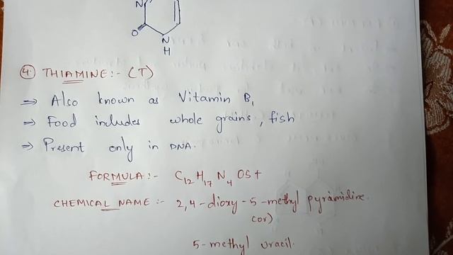 N2- bases || NITROGENOUS BASES ( PURINS AND PYRIMINDINS ) || BIOTECHNOLOGY || BY PHANINDRA GUPTHA смотреть онлайн