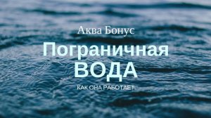 1.Школа 27.12.2024 г. Итоги 2024 года Вводная часть