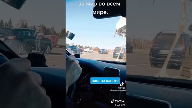 2 апреля 2022 г. смотреть онлайн