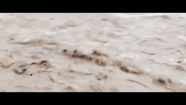 Реквием Моцарта смотреть онлайн