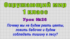 Окружающий мир 1 класс (Урок№26 - Почему мы не будем рвать цветы, ловить бабочек?)