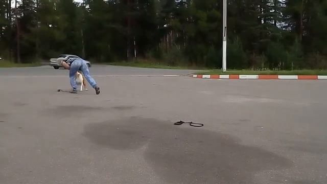 Old Moon Better Together ( **BRYUS**) смотреть онлайн