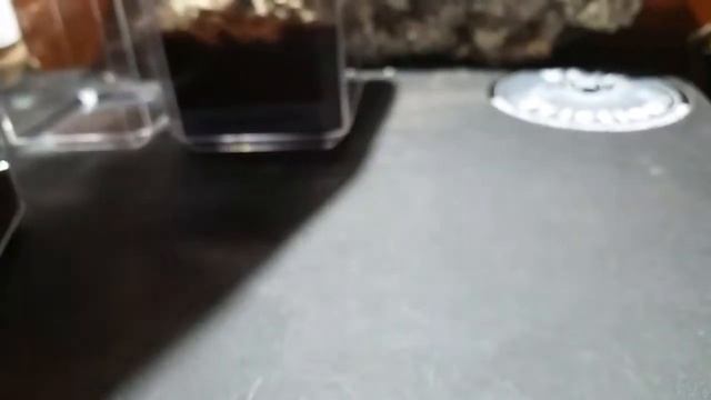 Rehoused 6 slings смотреть онлайн