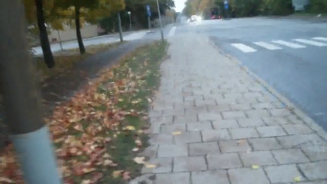 клёны Стокгольма на остановке 18 10 2012 смотреть онлайн