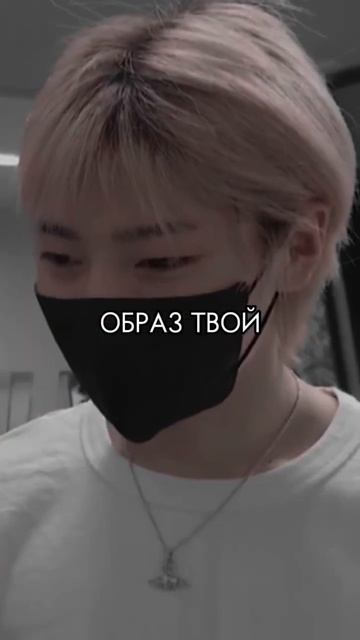 #i.n. #rec #straykids #skz #skzin #bangchan #чанчоны #банчан #янчонин #скз #рек смотреть онлайн