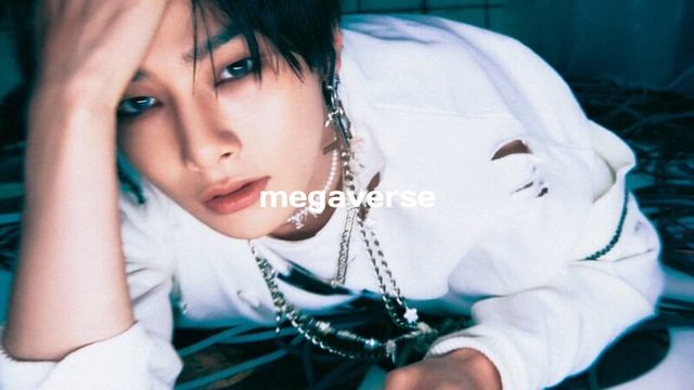 Stray Kids 'MEGAVERSE' (CLEAN ACAPELLA) смотреть онлайн