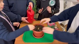 Итоговое событие трека «Орлёнок- Эколог» - «Наша Классная Оранжерея» во 2 «В» классе ГБОУ Школа 996