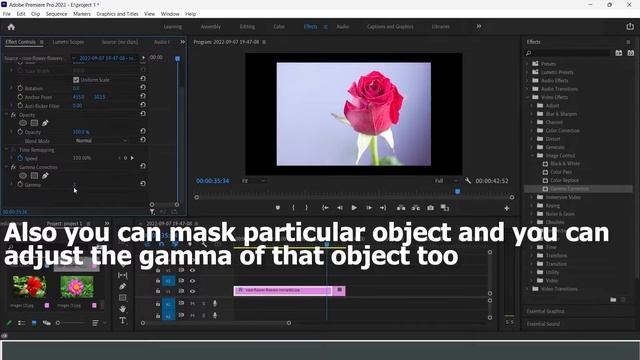 How to use Gamma Correction in Adobe Premiere Pro CC | #premierepro #tutorial #gammacorrection #edi смотреть онлайн