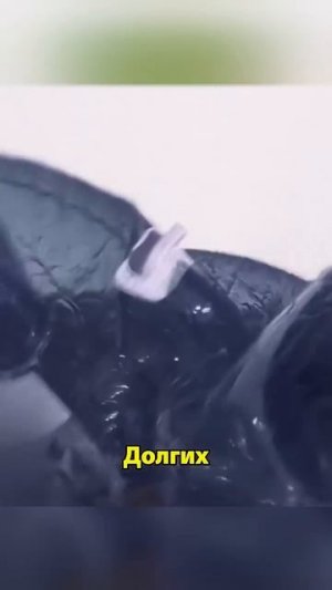 Они оказались в смертельной ловушке