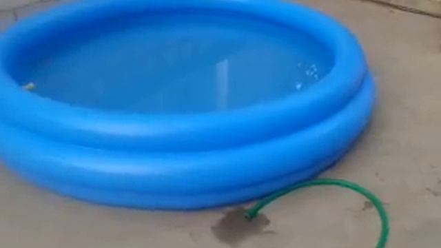 Intex pool 1,68 m x 40 см смотреть онлайн