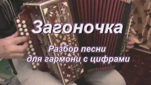 За гоночка. (036 гармонь с цифрами)