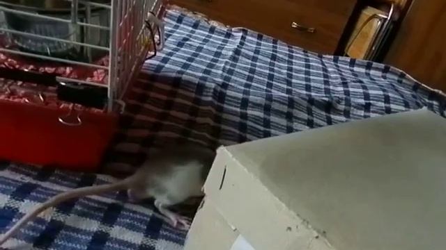 DSCN3821 смотреть онлайн