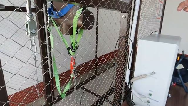 «Карта Қорғау» Владимира Стаценко смотреть онлайн