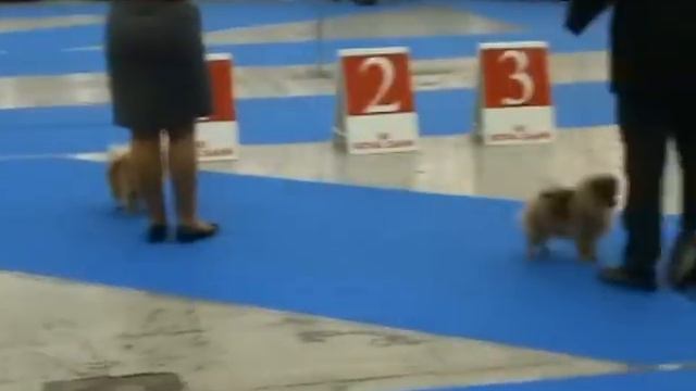 хрусталь видео 2011 051.MPG смотреть онлайн