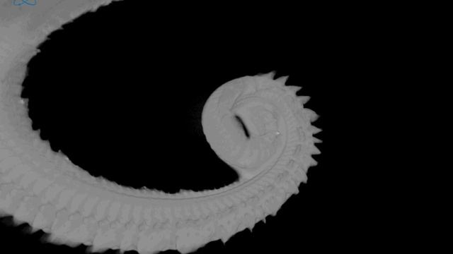 1260 alitta virens clam worm 3 6 2016 rec0000 смотреть онлайн