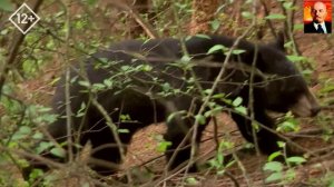 Меконг_ душа реки _ Китай -