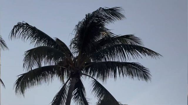США: Кращі міста для життя. Наш вибір смотреть онлайн