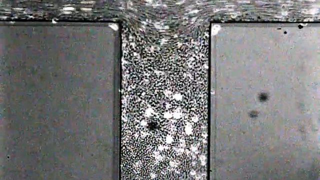 Particle trafficking in micron Crevice with Ghost cells C3 смотреть онлайн