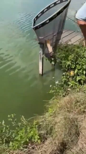 karp 3 kg смотреть онлайн