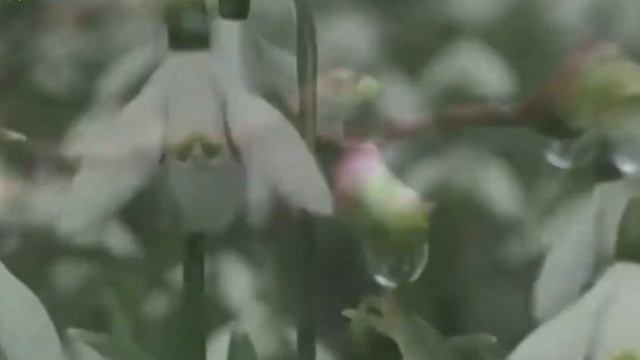 Песни для души Весна Людмила Соколова смотреть онлайн