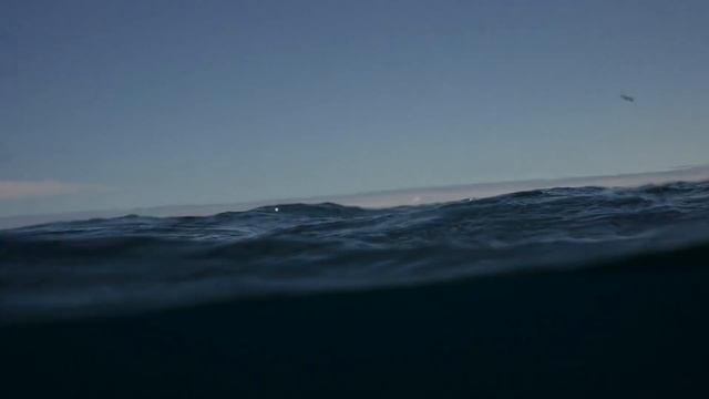 "Zero Degrees" a Galapagos Diving Compilation смотреть онлайн