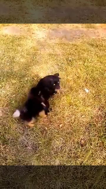 Рославль 12 м-он. друзья гуляют на улице жуля луня смотреть онлайн