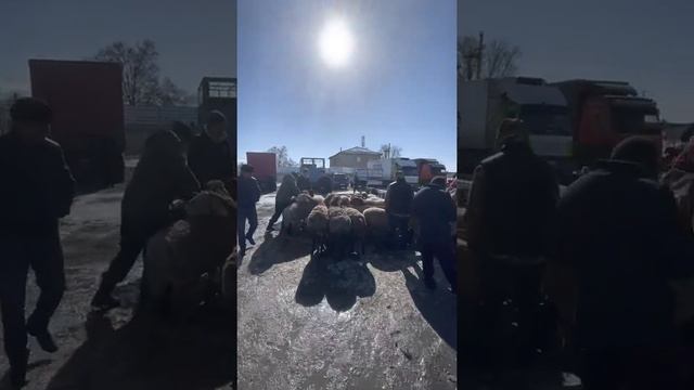 19 февраля 2022 г. смотреть онлайн