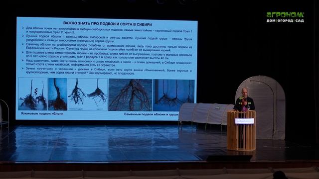 Прививка и подвои плодовых деревьев | Мастер-класс Дениса Гарапова смотреть онлайн
