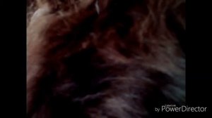 Клип Кузнецкий Сквад-Клубника!