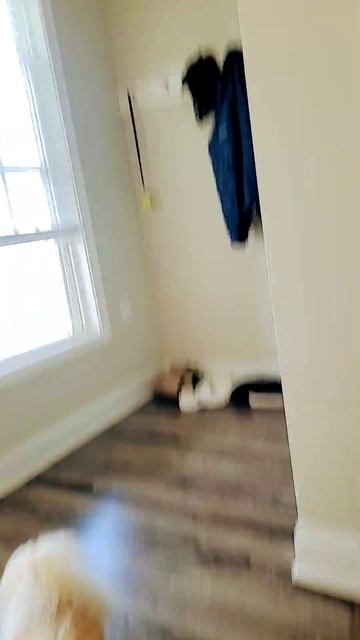 2 de mayo de 2024 смотреть онлайн