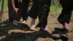 залетела как саранча чуча чуча  песни аригинал 2024