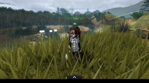 Старейшины в котах воителях-роблокс.