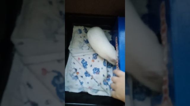 морские свинки (2) домик смотреть онлайн