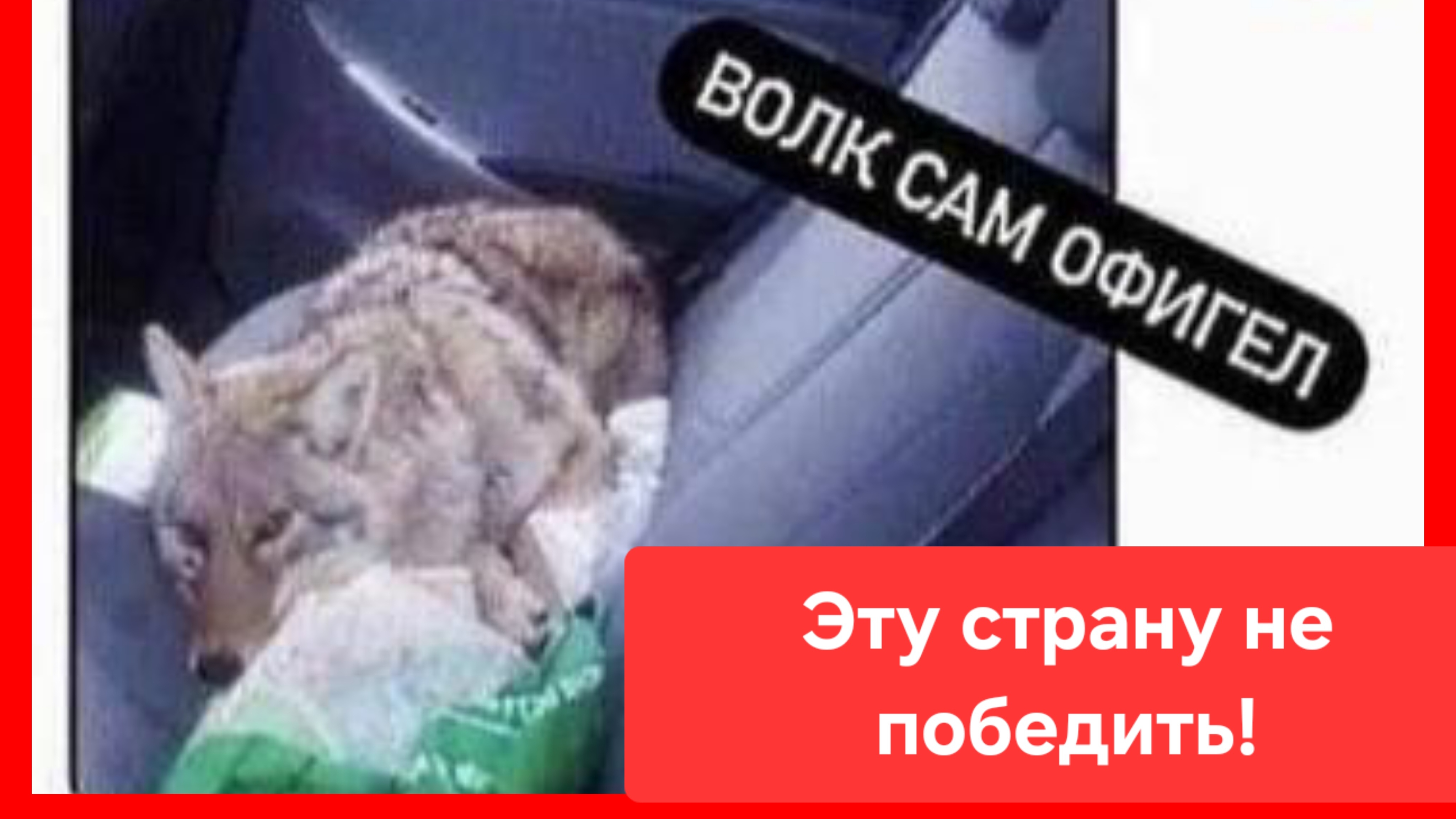 Эту страну не победить!😄💪 смотреть онлайн